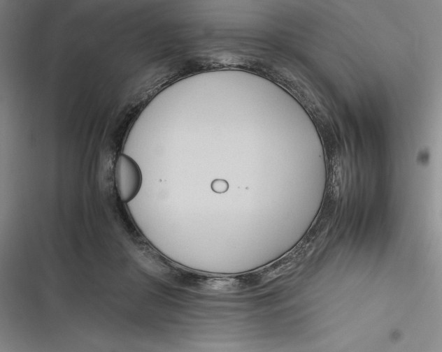 X0000116680410201001111336