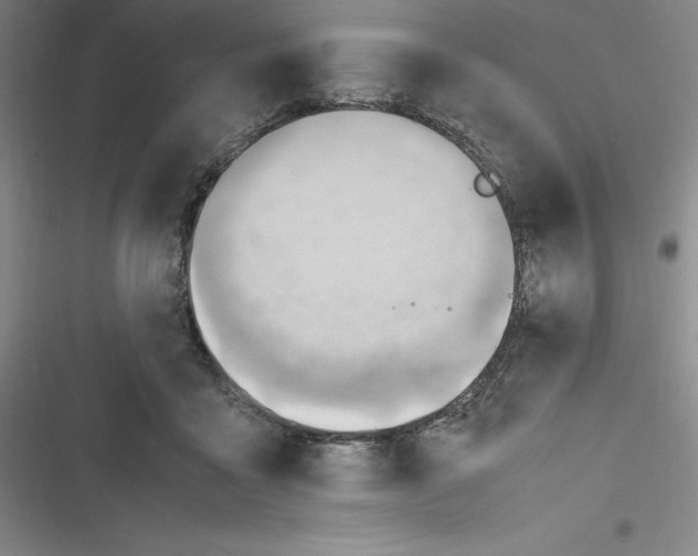 X0000116680411201001111336