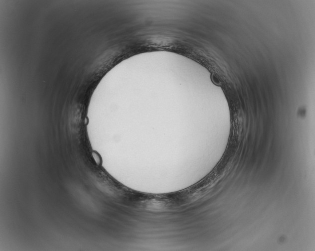 X0000116680412201001111336