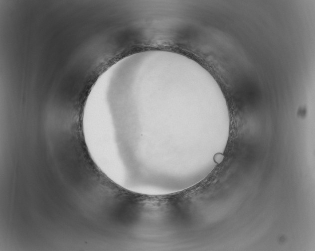 X0000116680415201001111336