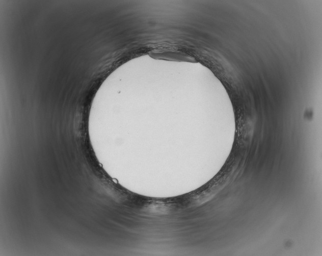 X0000116680416201001111336