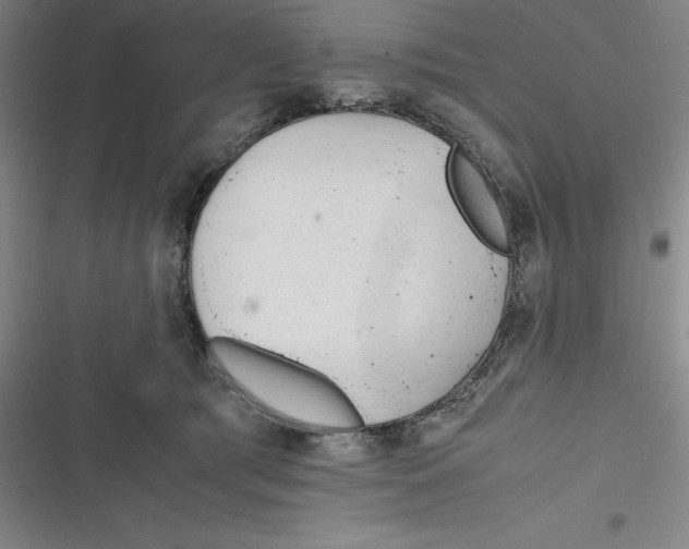 X0000116680417201001111336