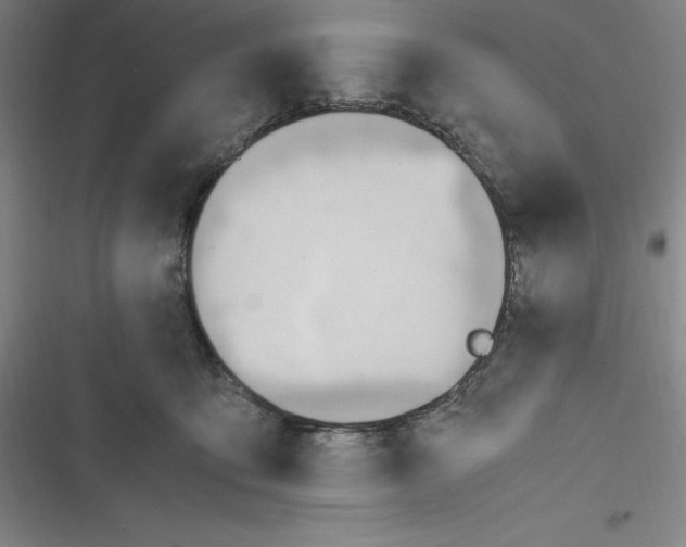 X0000116680419201001111336