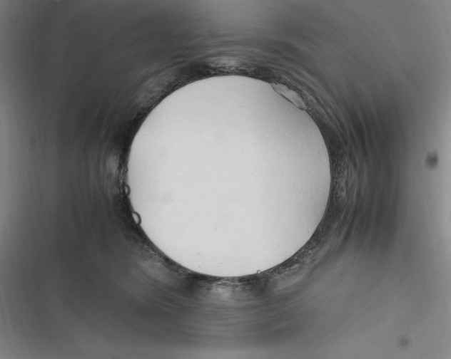 X0000116680420201001111336