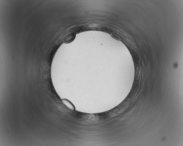 X0000116680421201001111336