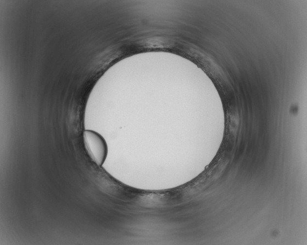 X0000116680422201001111336