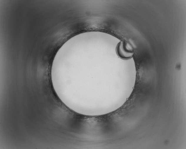 X0000116680423201001111336