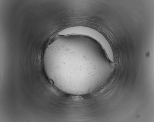 X0000116680424201001111336