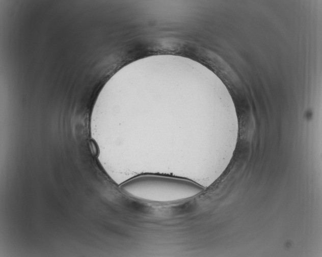 X0000116680425201001111336