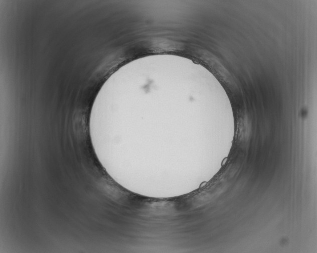 X0000116680426201001111336