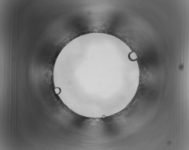 X0000116680427201001111336