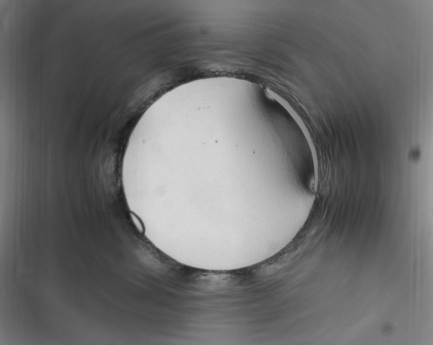 X0000116680428201001111336