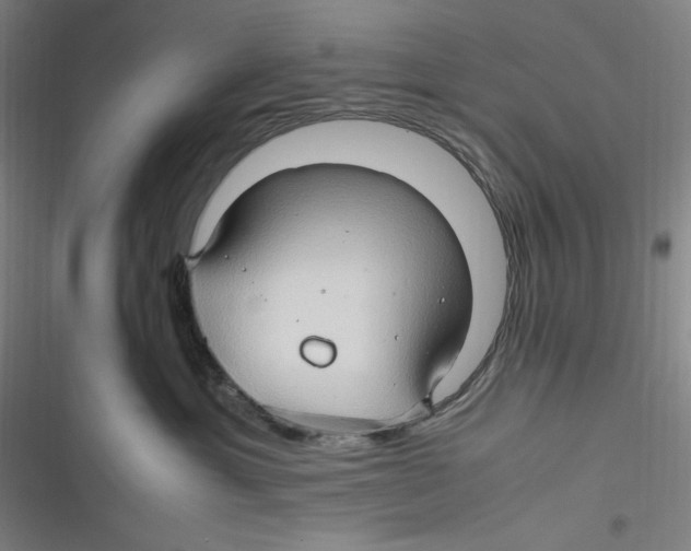 X0000116680429201001111336