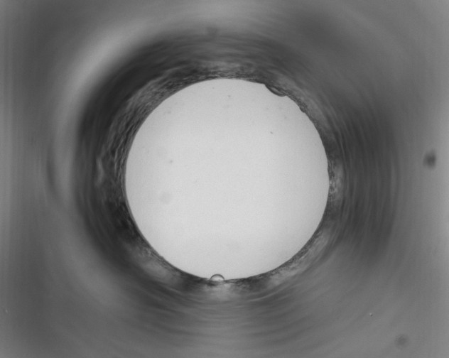 X0000116680430201001111336