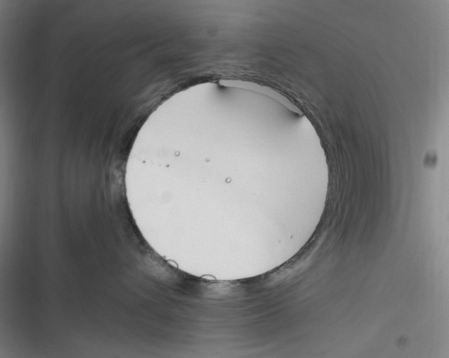 X0000116680432201001111335