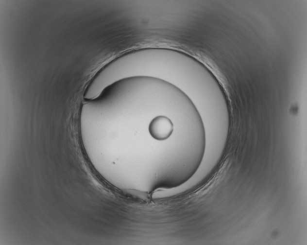 X0000116680433201001111335