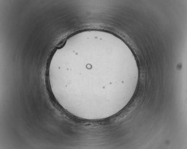 X0000116680434201001111335