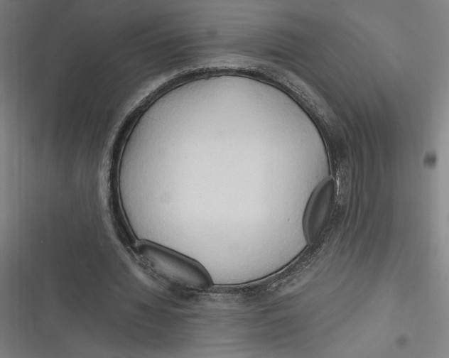 X0000116680436201001111335