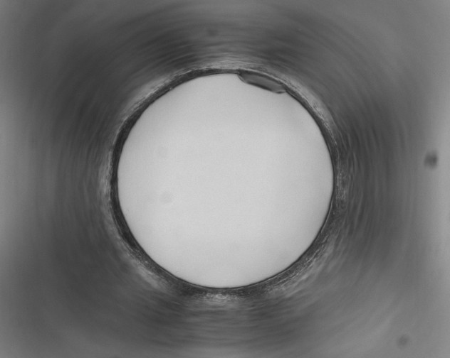 X0000116680437201001111335