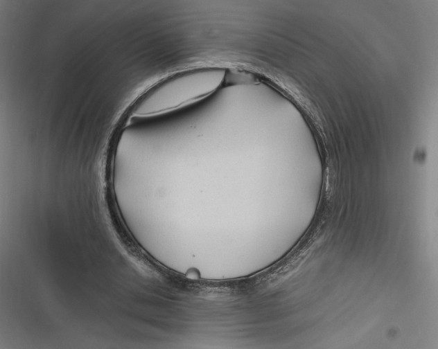 X0000116680438201001111335