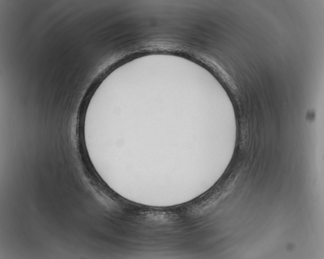 X0000116680439201001111335