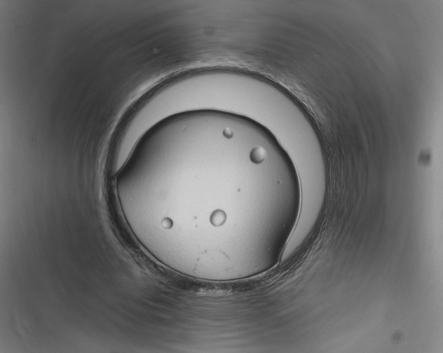 X0000116680440201001111335