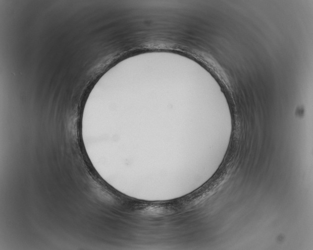 X0000116680441201001111335