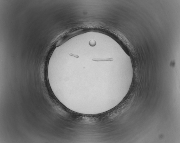 X0000116680442201001111335