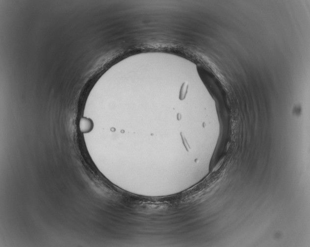 X0000116680443201001111335