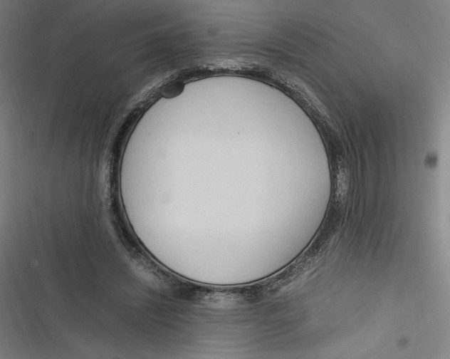 X0000116680444201001111335