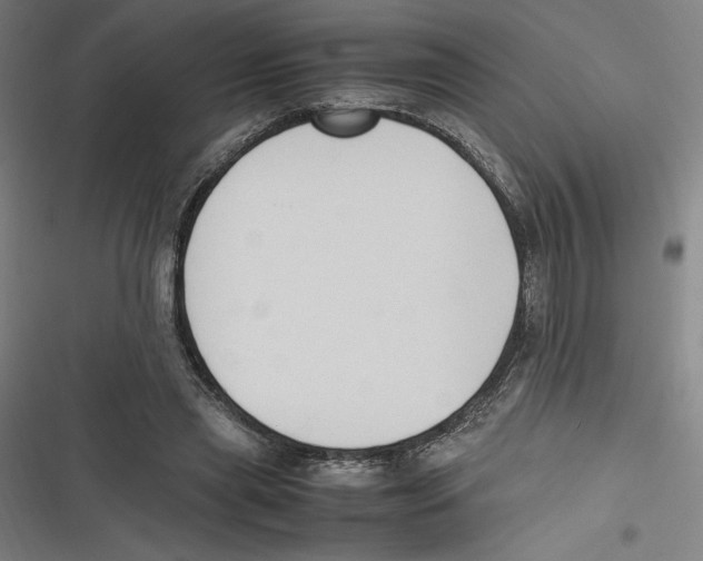 X0000116680445201001111335