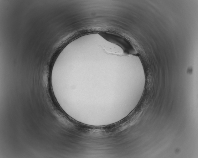 X0000116680446201001111335