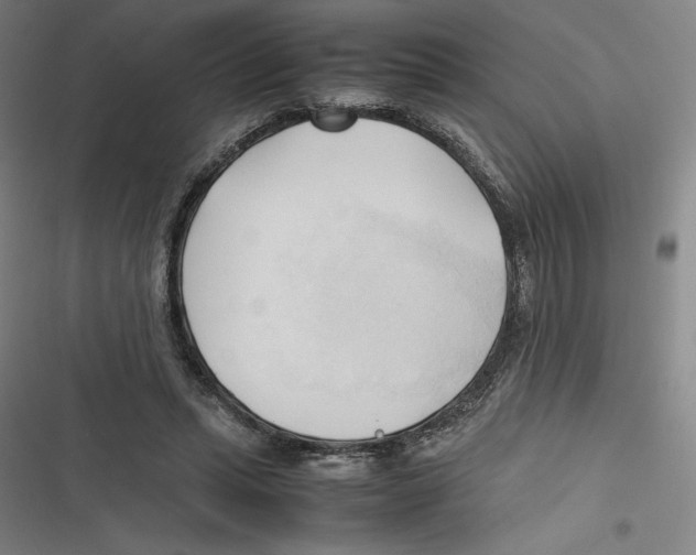 X0000116680447201001111335