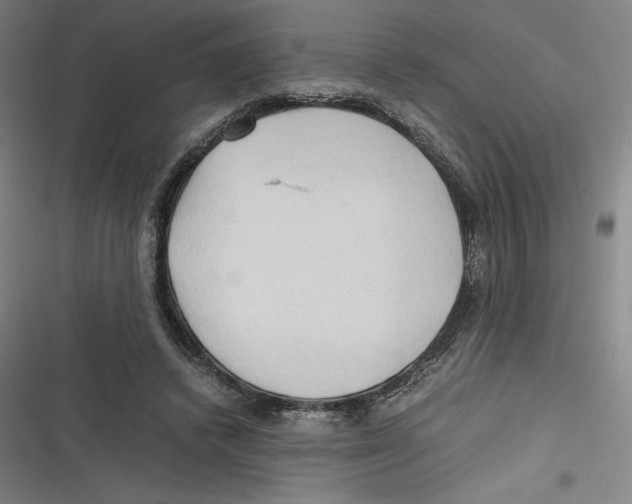 X0000116680448201001111335