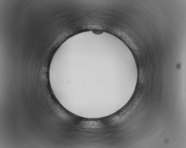 X0000116680449201001111335