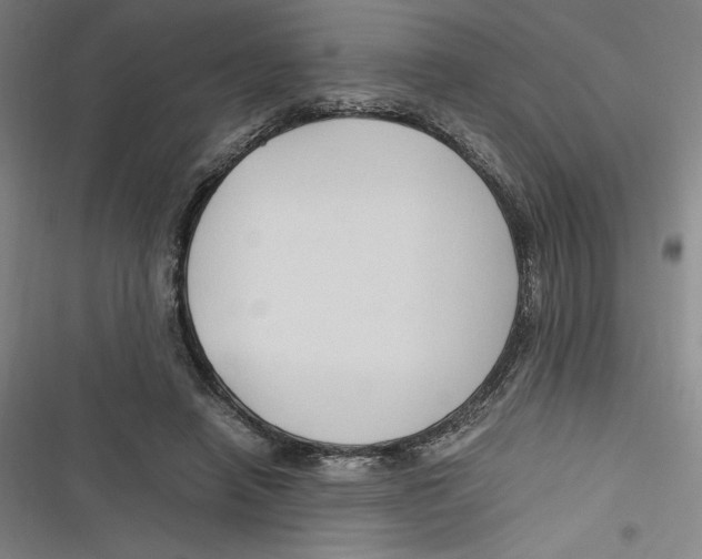 X0000116680450201001111335