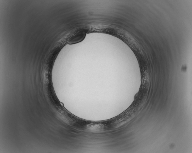 X0000116680452201001111335