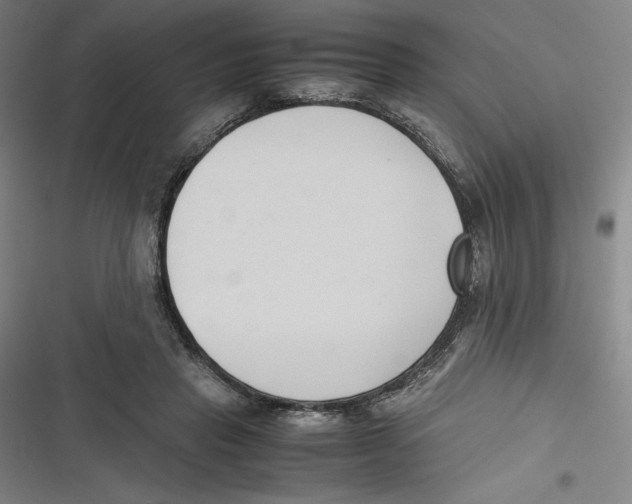 X0000116680453201001111335