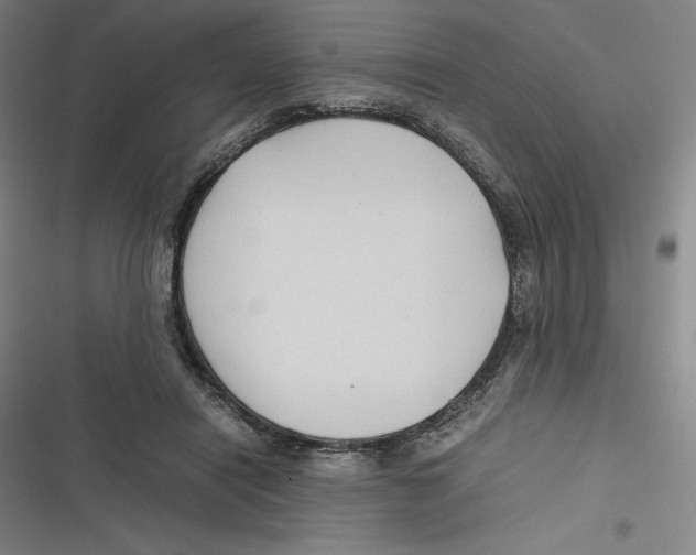 X0000116680454201001111335