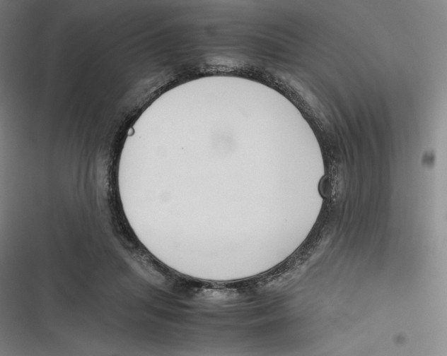 X0000116680455201001111335