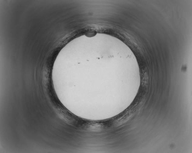 X0000116680456201001111335