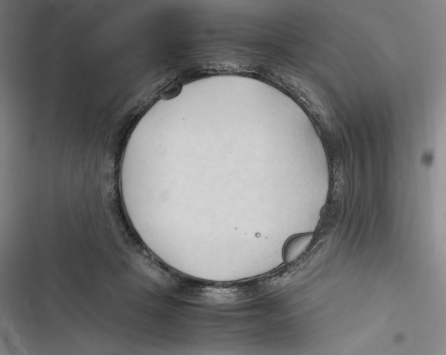 X0000116680457201001111335