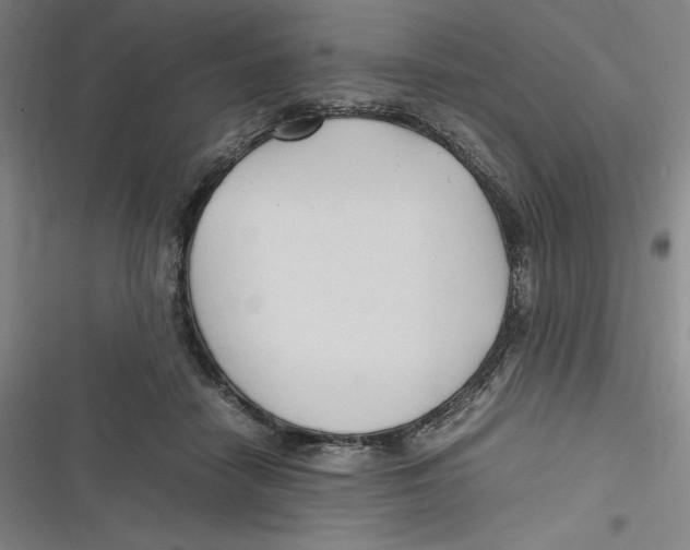 X0000116680458201001111335