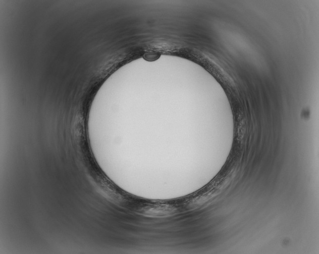 X0000116680459201001111335