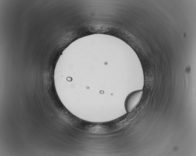 X0000116680460201001111335