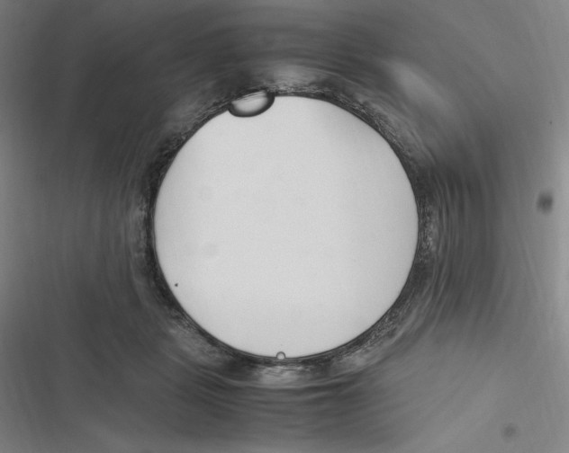 X0000116680461201001111335