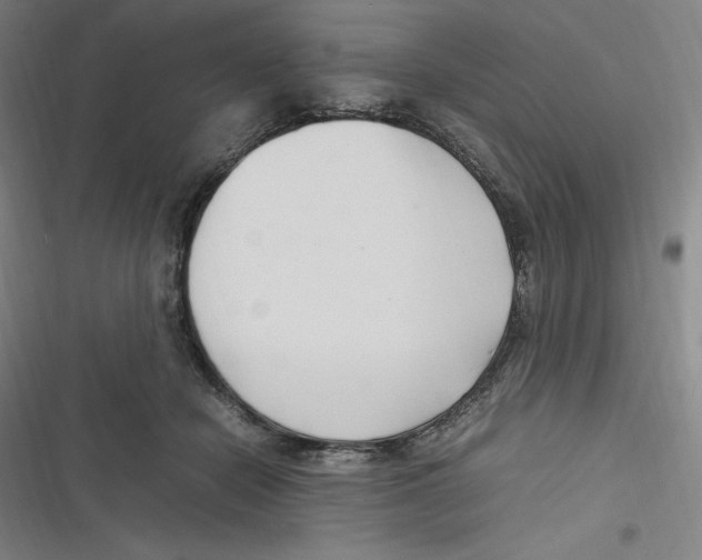 X0000116680462201001111335