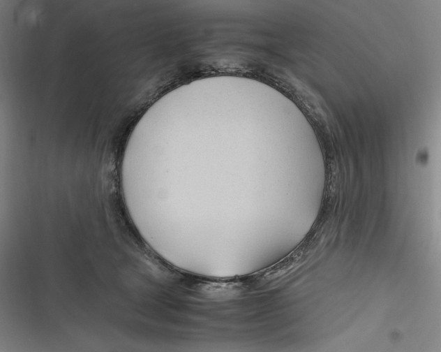 X0000116680465201001111335