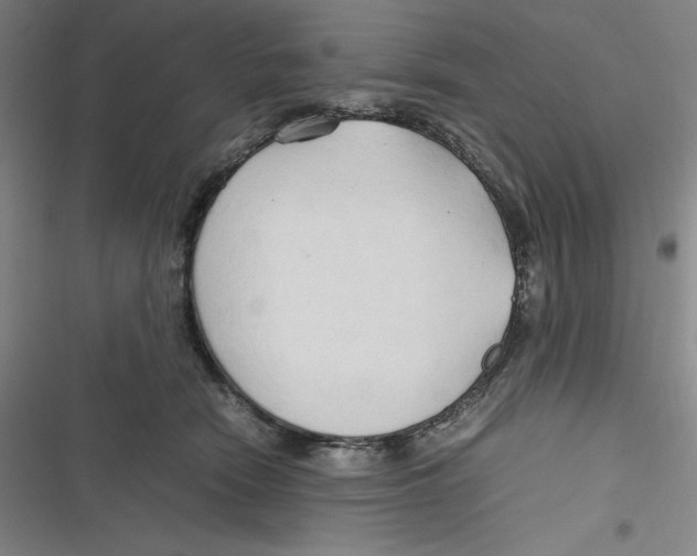 X0000116680466201001111335