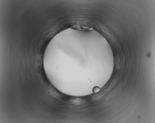 X0000116680467201001111335